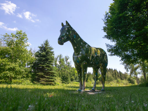 Headwaters – Where Ontario Gets Real