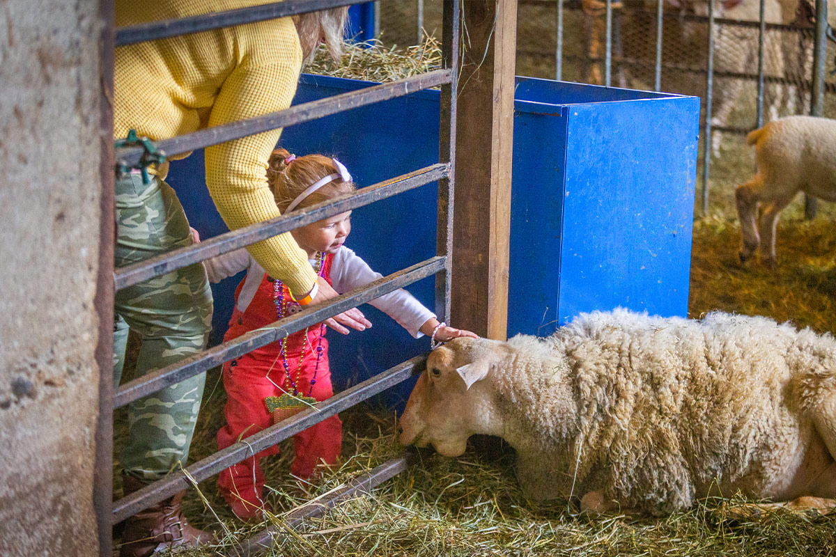 Dufferin Farm Tour