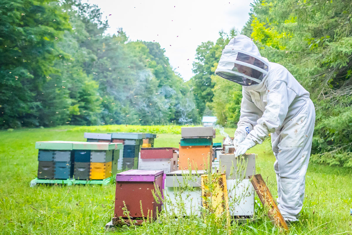 Ontario Honey Creations