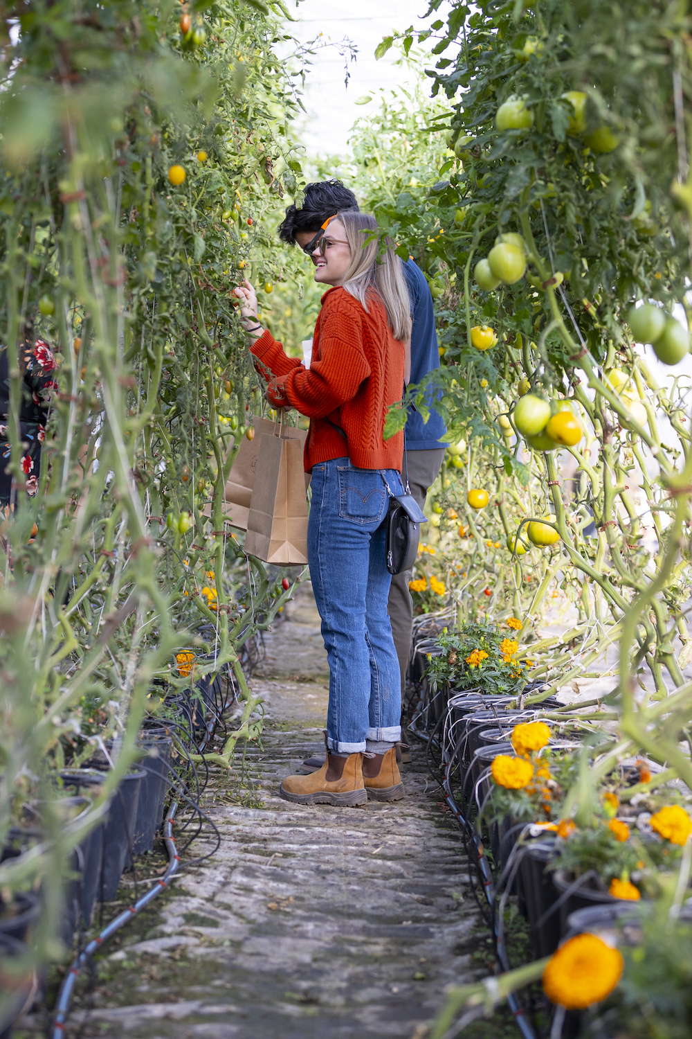 Farm photography field to fork