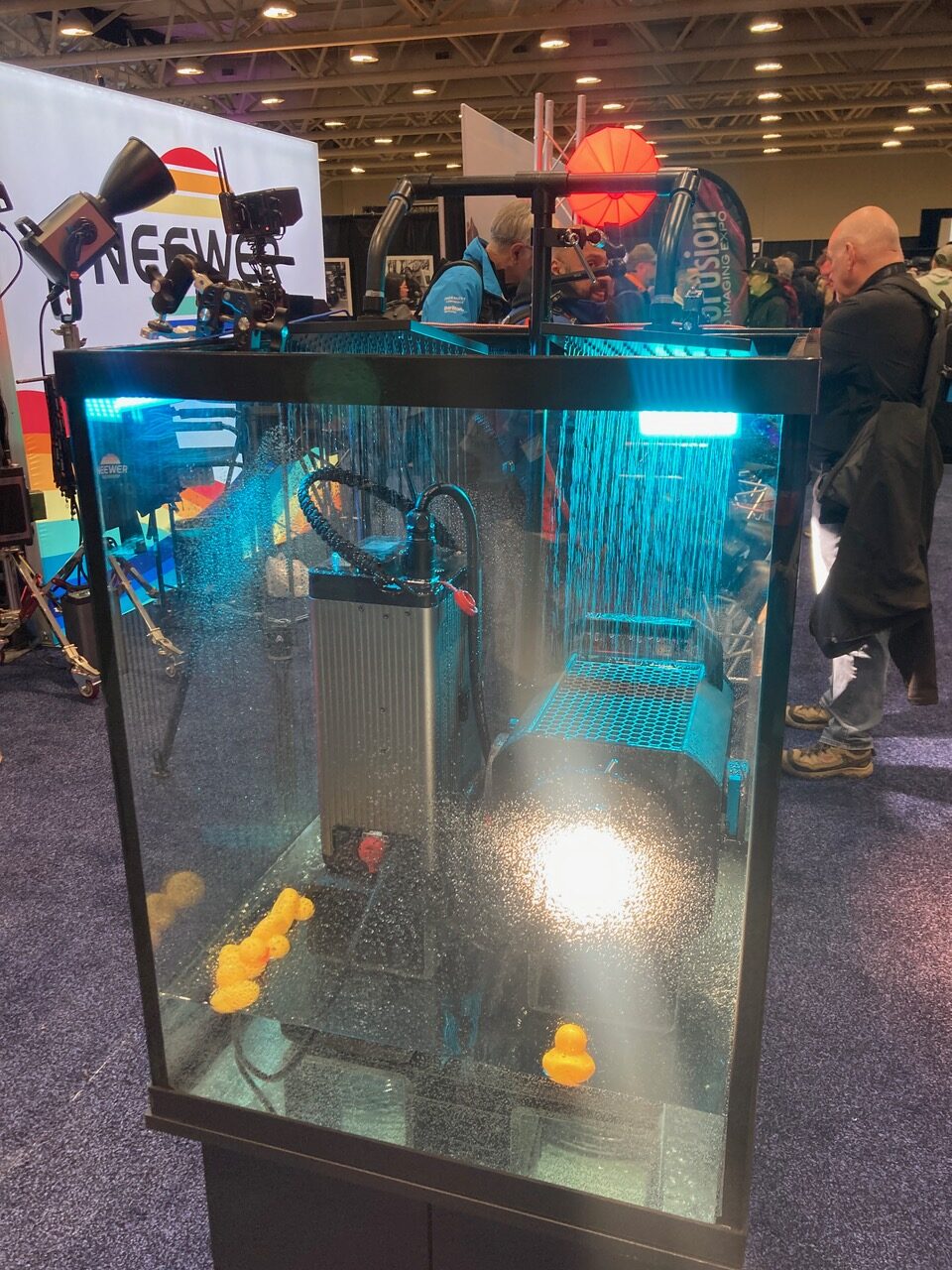 Profusion expo toronto